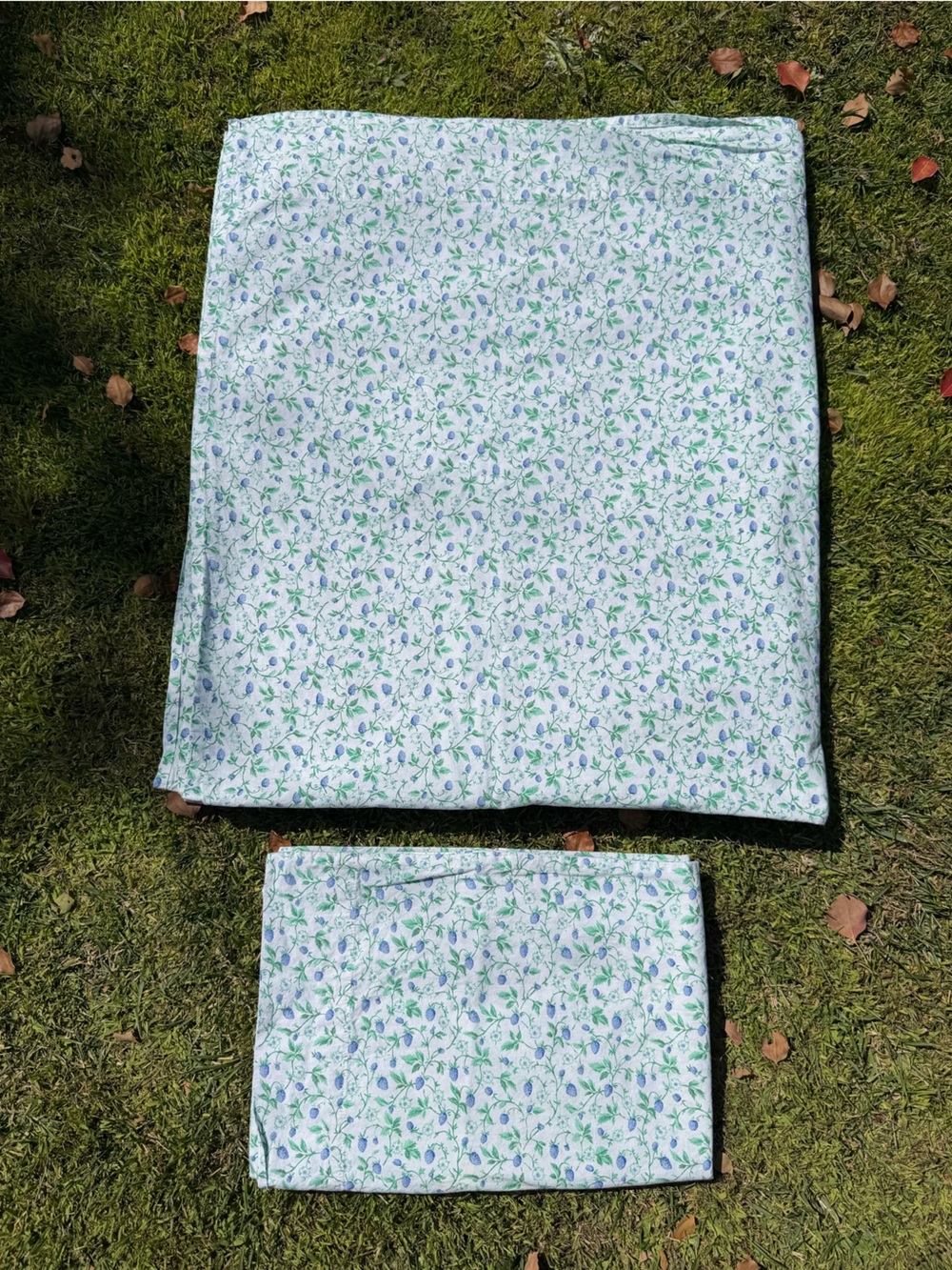 Laura Ashley Bramble Berry Fields 2-Piece Sheet Set Queen 100% Cotton GUC